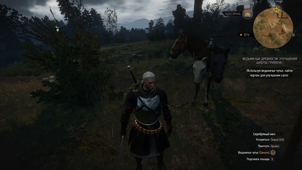 Roach, you have triplets! - My, The Witcher 3: Wild Hunt, Cerberus, Horses, Bug, Screenshot, Roach