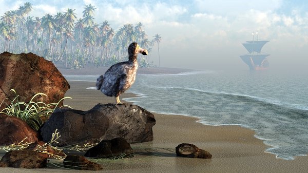 Dodo or extinct pigeon of Mauritius - My, Birds, Paleontology, Extinction, Longpost, Dodo