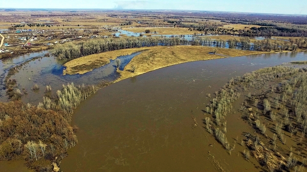 Altai Territory. Beware! Flood! The water in the Chumysh River is coming. - My, Altai, , Altai region, Video, Altai Republic