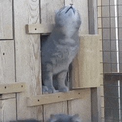 Дай тоже посмотреть
