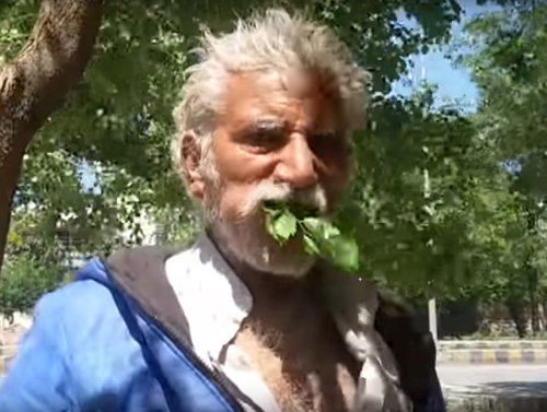 A 25-year-old man eats only trees - , Vegan, Humor, Video