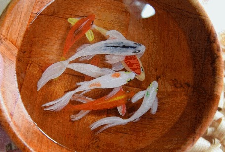   8 Riusuke Fukahori, Goldfish, , , , , , 