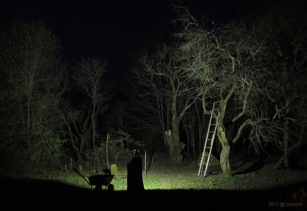 Night work in the old garden on the farm. Almost surreal. - My, The photo, , Wheelbarrow, Stairs, Tree, Stars, Star