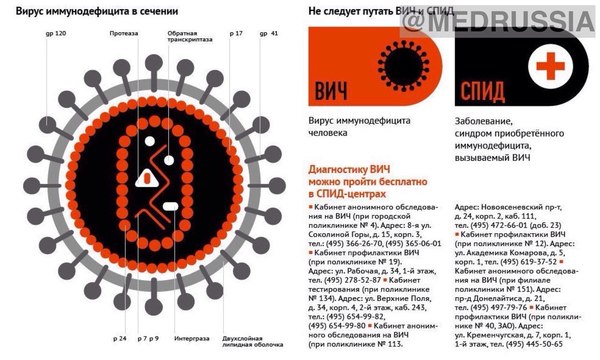 Коротко о ВИЧ - Медицина, Болезнь, ВИЧ, Спид, Нозология, Картинки, Текст