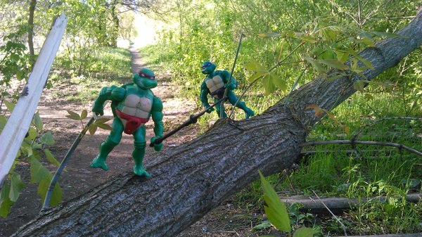 �� ������ ���� ��������� ��� ...