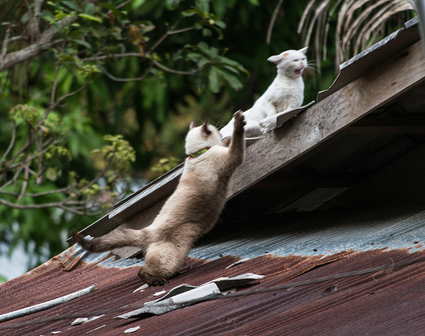 — Это твое заднее слово?