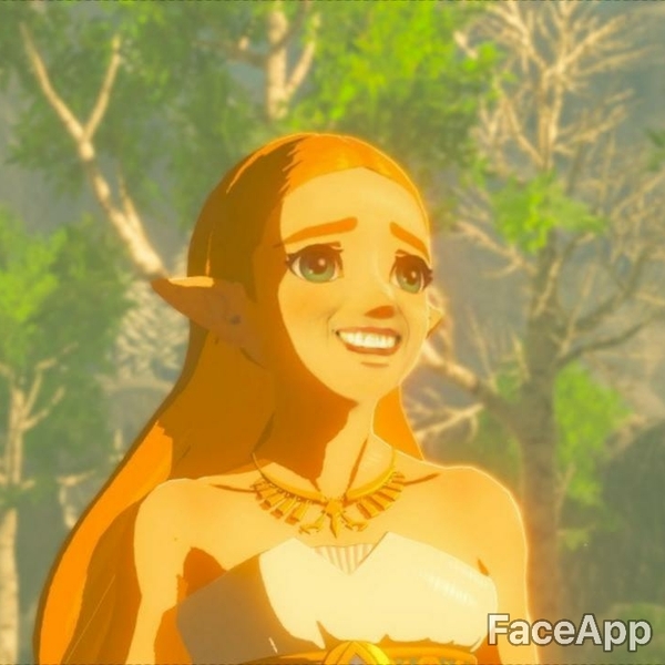   ,   The Legend of Zelda, Breath of the Wild, , , Princess Zelda