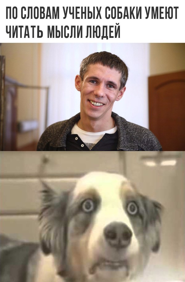 ������ ��������