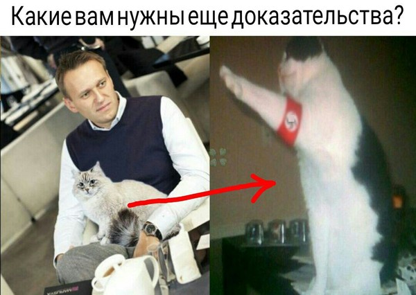 Coincidence??? I don't think - Alexey Navalny, Fascists, media, Media and press