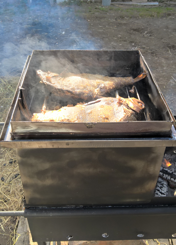 Kebab? Be original. Smoke bream. - My, Bream, Brazier, The May holidays, Smoking, Cooking