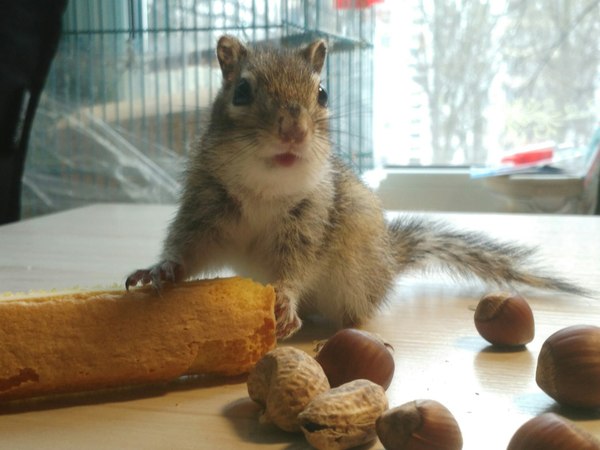 ��� ���������?