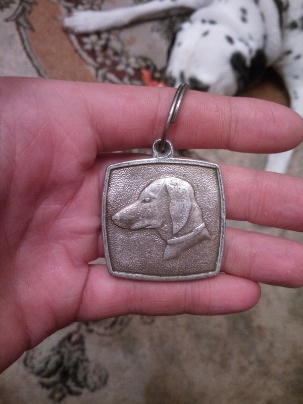 Mysterious find - Krasnodar, Dog, Token, Dalmatian, Longpost