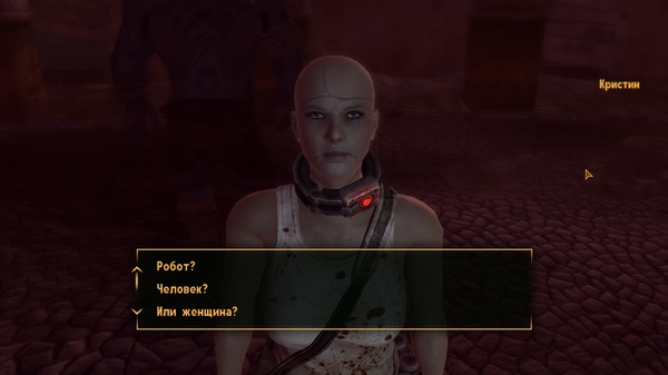 Developers joke (?) - Fallout: New Vegas, Dead Money, Female, Person, Humor, Women