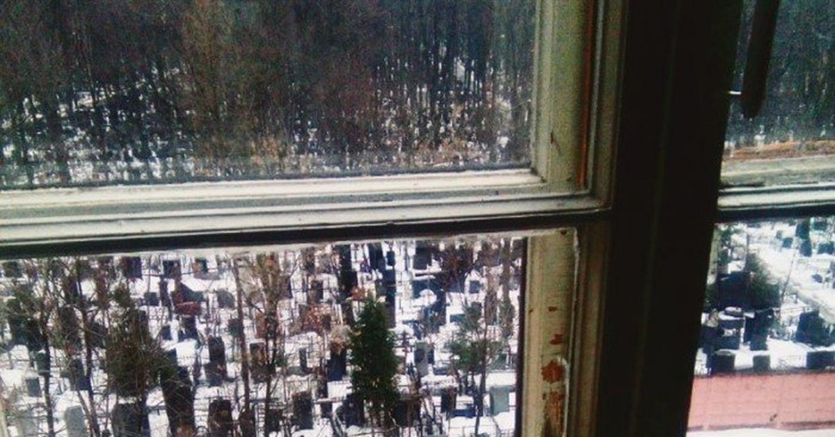 С балкона видны были. Ужасный вид из окна. Вид из окна на кладбище. Плохой вид из окна. Окно с видом на кладбище.