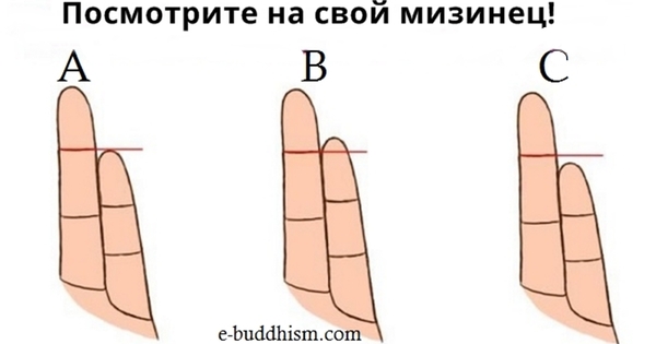 That's how the length of your fingers affects your character! Wow! - , Who you are?, Character