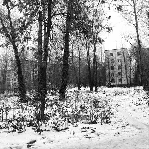 St. Petersburg hopelessness - Array, Sockets, Panel house, Hopelessness, Snow, My, Saint Petersburg, Tree