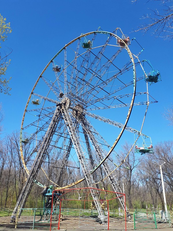 Survive by any means - My, Ferris wheel, Rarity