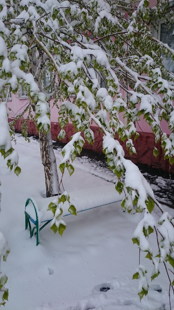 Good morning. May 3... - My, Krasnoyarsk, Yaumruvkrasnoyarsk, Snow, May