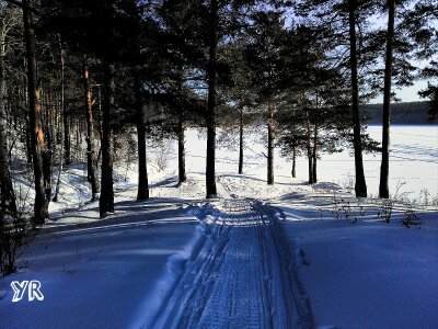 A little winter in your feed) - My, The nature of Russia, Winter, Longpost