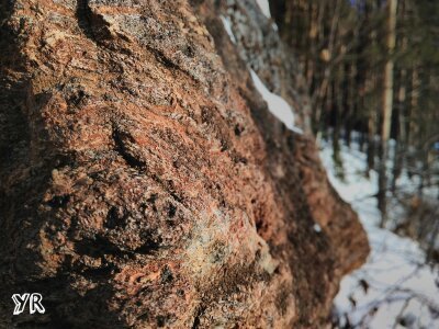 A little winter in your feed) - My, The nature of Russia, Winter, Longpost