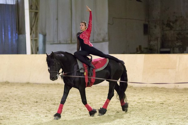 Конное 9 мая на вднх (бесплатно)