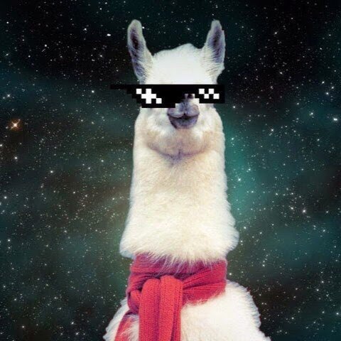 In my head when they talk about something important: - Longpost, Llama, Sloth, Space, Oddities, Humor