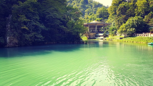 Pond near the old station. - My, Abkhazia, Nature, beauty, The photo, My, Gudauta