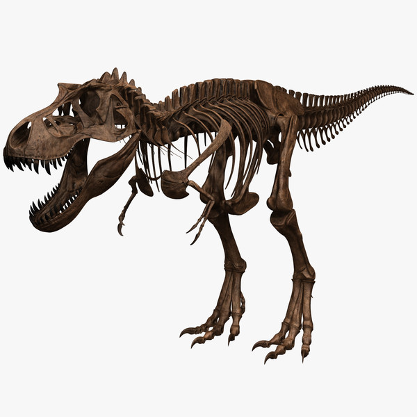  T.Rex.   ? , , , , 