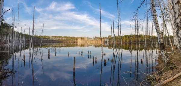 Izyary in May - My, Chuvashia, Zavolzhye, Lake, Landscape, May, Longpost