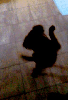  ,     , , , , , 