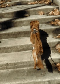  ,     , , , , , 