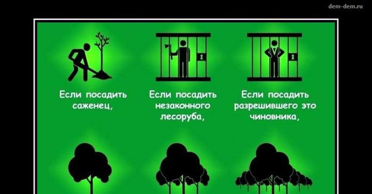 Как правильно говорить сажать или сажу. Посадил дерево прикол. Сажайте правильно. Сажать деревья прикол. Смешная посадка деревьев.