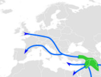 Genetics: Changes in Europe in the Neolithic and Bronze Ages - Haplogroup, Genetics, Migration, Europe, Lionel Messi, Bronze Age, Lev Klein, Population, Longpost