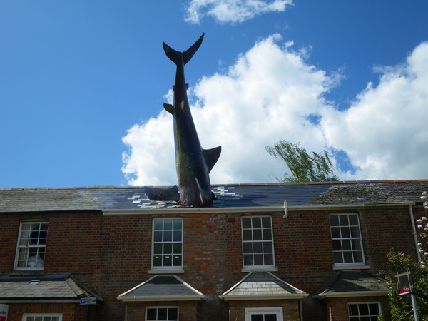 Sudden guest - The photo, Shark, The statue, Sculpture