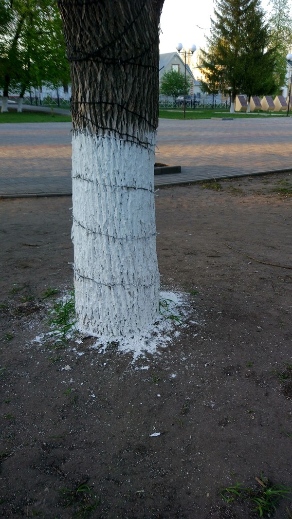 When you approach work with all responsibility and nothing is an obstacle. - My, Spring, Tree, Whitewash