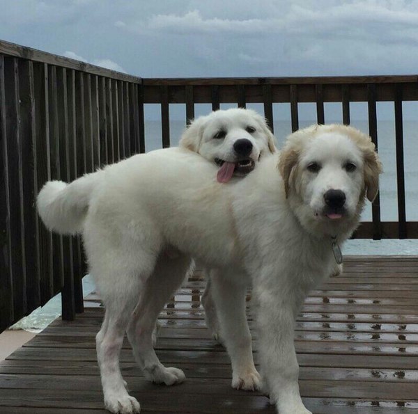 ����� ���� �� ���� ���������� :3