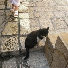 Jewish grandfather - My, Summer, Israel, Fountain, Grandfather, Children