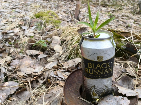 �����. � ����� ������� ���������� ������ �����.