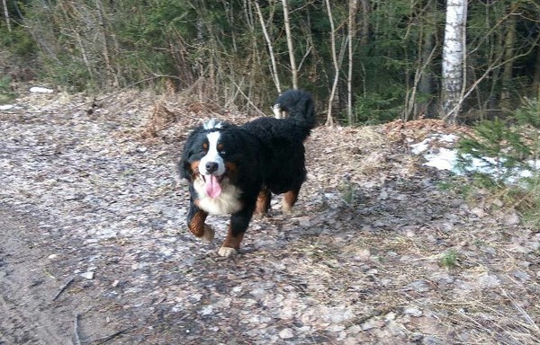 Немножко позитива в массы