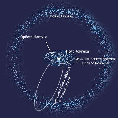 Fascinating macrobiology - My, , Oort Cloud, Land, Person, Longpost, Universe