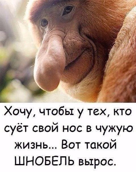 Particularly interesting) - Humor, Nose, Baboons, Picture with text