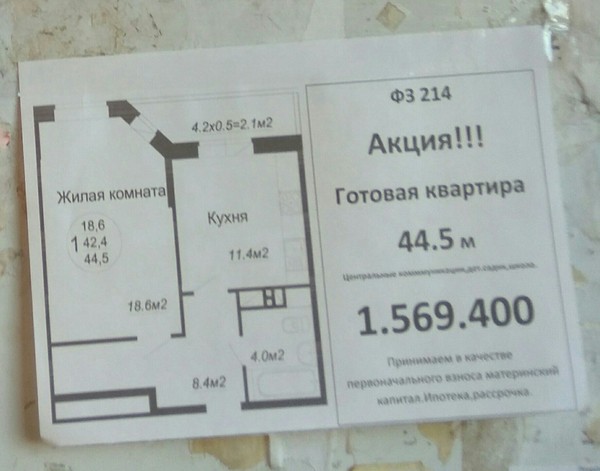 Самое бесполезное объявление - Глупость, Реклама, Моё, Безысходность, Шакалы