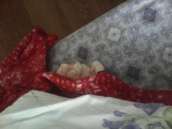 Черемуховые холода