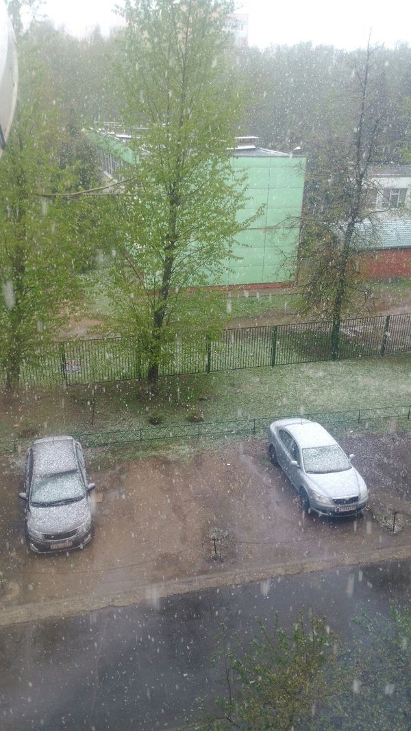 Oh those holidays.. - My, Snow, Spring, Weather, 