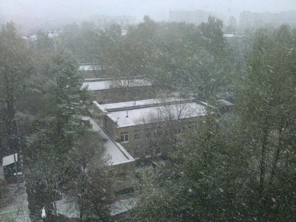 Beautiful May day in Moscow - My, May, Spring, Snow, Moscow, Snowfall