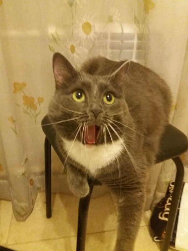   ,    ...15   , 