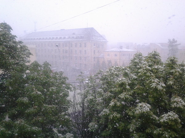 May 9. Kaliningrad. - My, Snow, Weather, Snow in spring