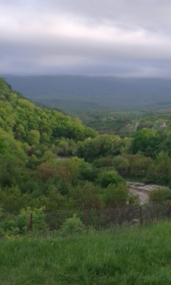 Nature - Greenery, Nature, My, Longpost