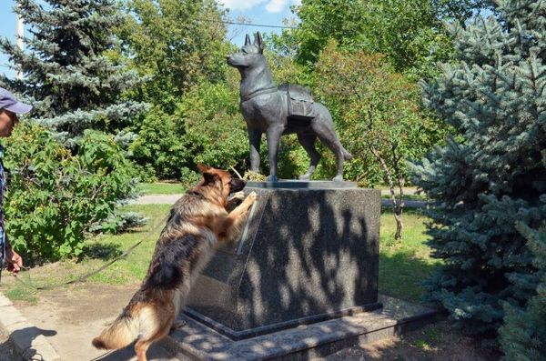 Дань Великим предкам, героям войны. - Волгоград, Собака, Памятник, Герои, Великая Отечественная война, Победа