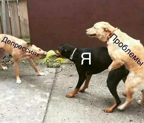 ��������...